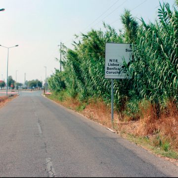 Minha máquina – 15 de agosto