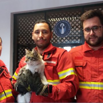 Acidente com fuga em Fazendas de Almeirim