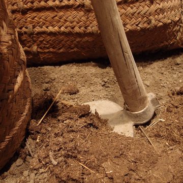 CDS reclama apoios aos agricultores e produtores pecuários afetados pelos incêndios e pela seca CDS reclama apoios aos agricultores e produtores pecuários afetados pelos incêndios e pela seca