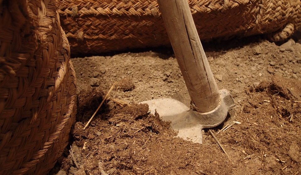 CDS reclama apoios aos agricultores e produtores pecuários afetados pelos incêndios e pela seca