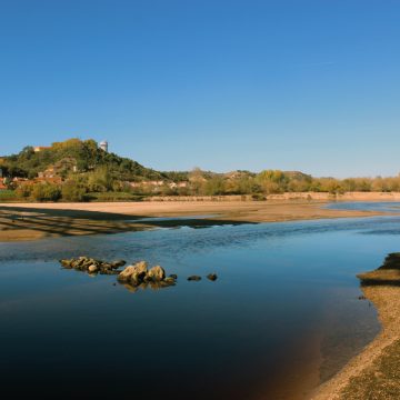 Concelho de Almeirim desde outubro em seca extrema Concelho de Almeirim desde outubro em seca extrema