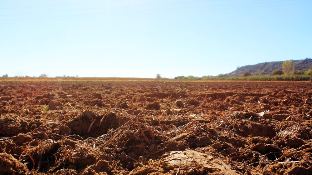 Pequenos agricultores com melhores oportunidades de investimento Pequenos agricultores com melhores oportunidades de investimento