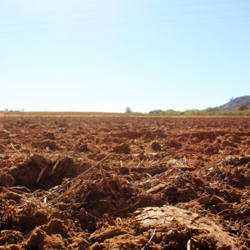 Pequenos agricultores com melhores oportunidades de investimento Pequenos agricultores com melhores oportunidades de investimento