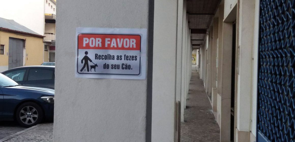 Minha máquina – 1 de dezembro