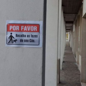 Minha máquina – 1 de dezembro