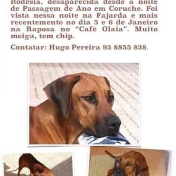 Beka está desaparecida