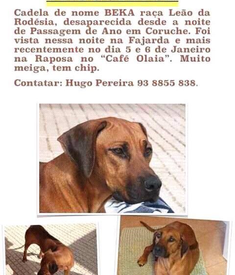 Beka está desaparecida
