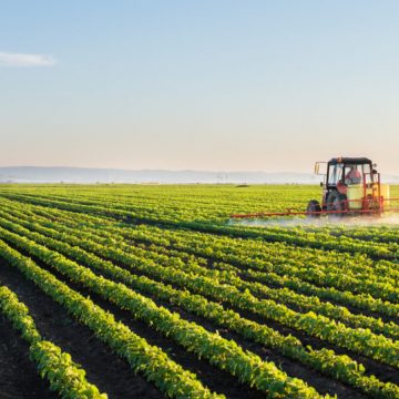 Apoios para investimentos agrícolas com novas regras Apoios para investimentos agrícolas com novas regras