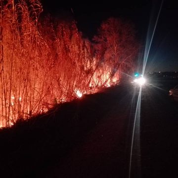 Fogo junto à Casa da Guarda