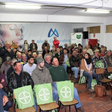 Borrego Leonor & Irmão organiza formação em Almeirim