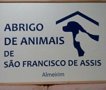 Recolha de Alimentos para Cães