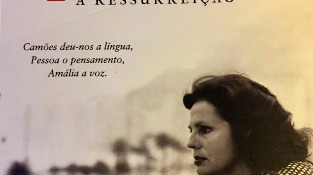 Novidades na Biblioteca Municipal de Almeirim e no Polo de Fazendas de Almeirim