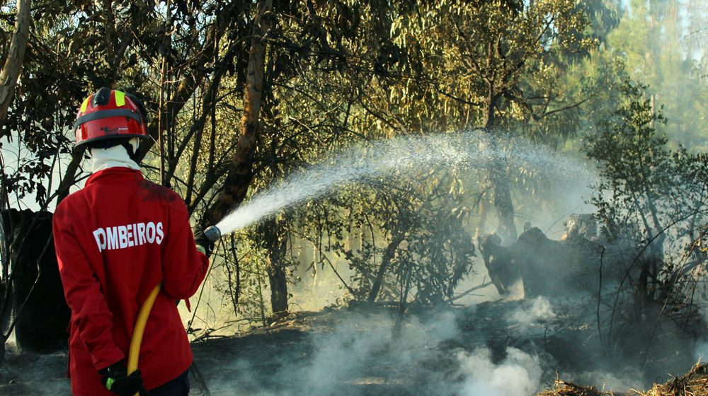 Proteção Civil alerta para os perigos das queimas e queimadas