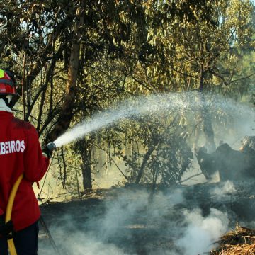 Proteção Civil alerta para os perigos das queimas e queimadas Proteção Civil alerta para os perigos das queimas e queimadas