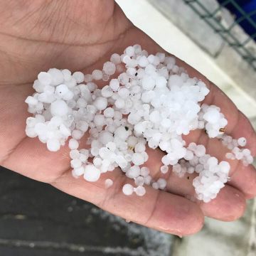 Queda de granizo e aviso amarelo para madrugada de sábado no concelho de Almeirim Queda de granizo e aviso amarelo para madrugada de sábado no concelho de Almeirim