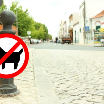 Restaurantes de Almeirim vão deixar animais à porta