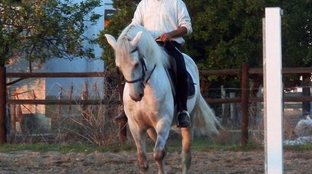 Morreu Eng.º José Andrade