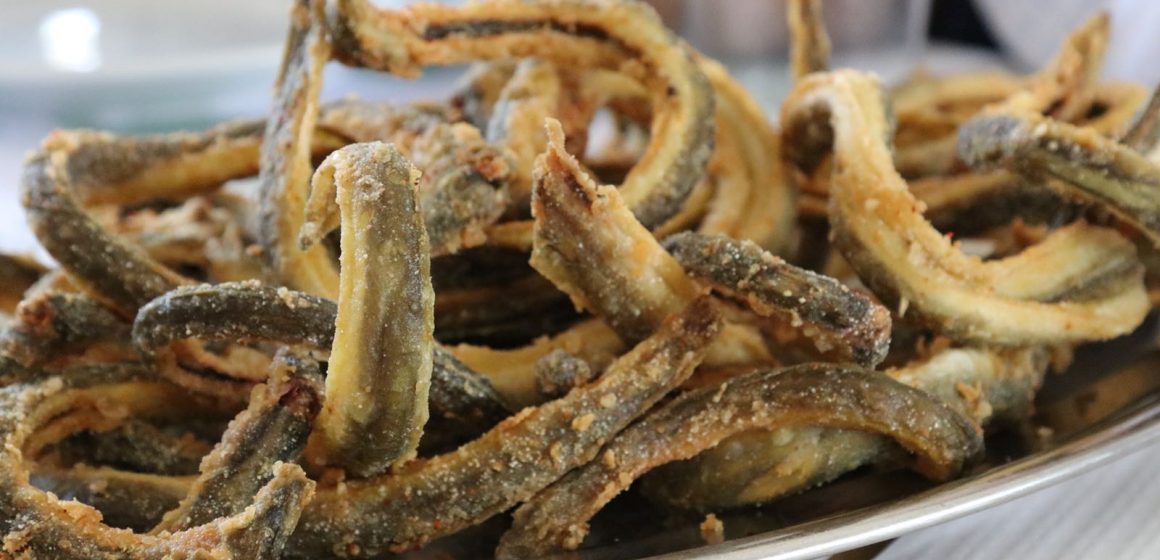 Festival da Enguia adiado