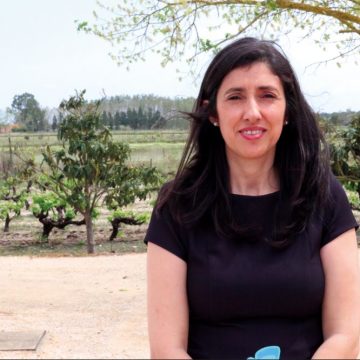 Quem é Cândida Lopes?