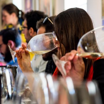 Falcoaria Colheita Tardia 2014 da Quinta do Casal Branco é o “Melhor Branco Especial” do Concurso Vinhos de Portugal 2018