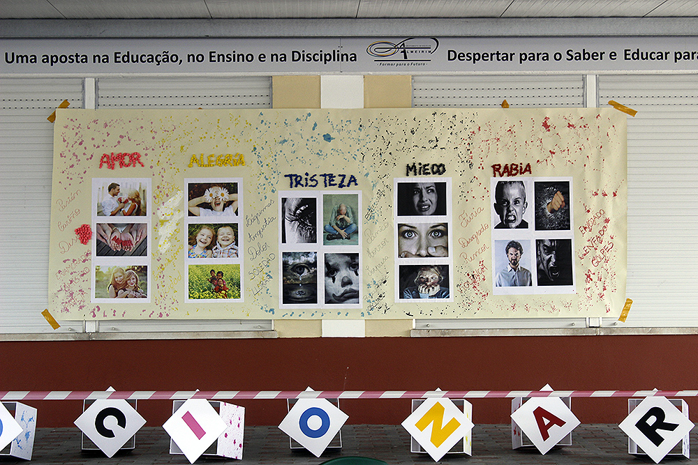 exposiçao a emoçao em nos (9) exposiçao a emoçao em nos (9)