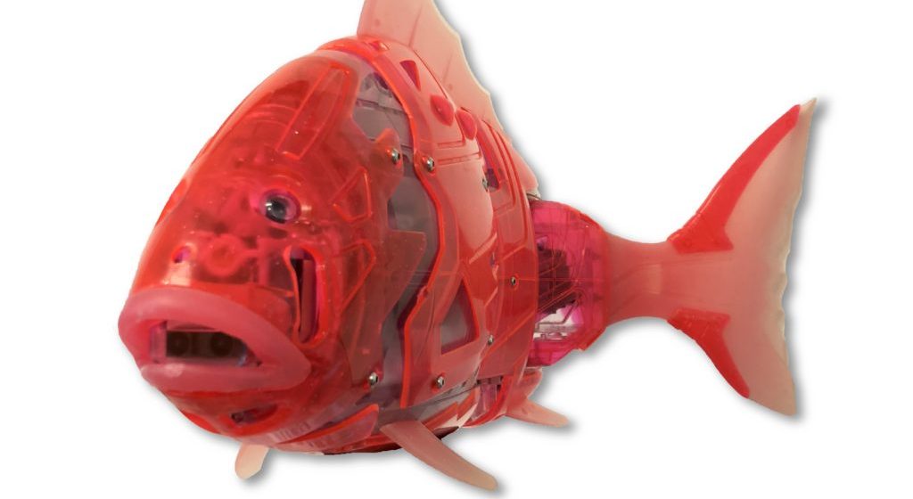 Almeirinense no lançamento do primeiro peixe robot com potencial terapêutico na Europa Almeirinense no lançamento do primeiro peixe robot com potencial terapêutico na Europa