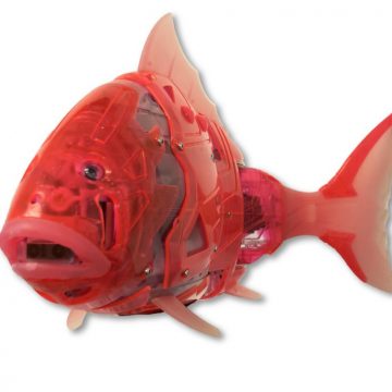 Almeirinense no lançamento do primeiro peixe robot com potencial terapêutico na Europa