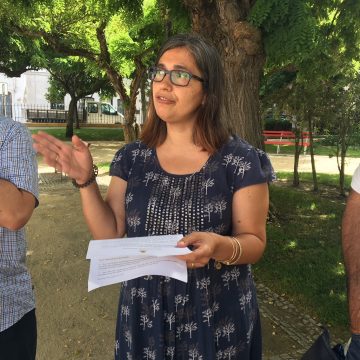 Os Verdes a favor das obras no Jardim mas contra o que PS propõe