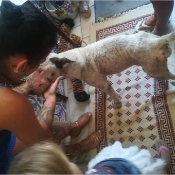 Desaparecido em Palmela há dois anos, encontrado hoje em Almeirim