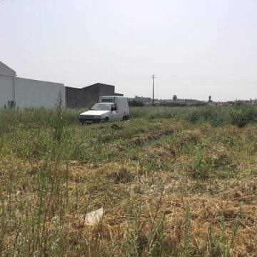 Homem encontrado morto em Fazendas de Almeirim Homem encontrado morto em Fazendas de Almeirim