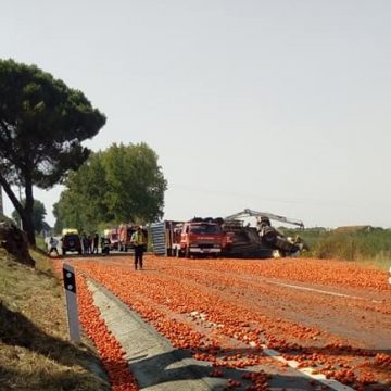 Despiste em Mora mata homem dos Cortiçóis