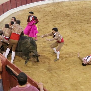 Forcado almeirinense ferido com gravidade na Chamusca (C/VÍDEO)