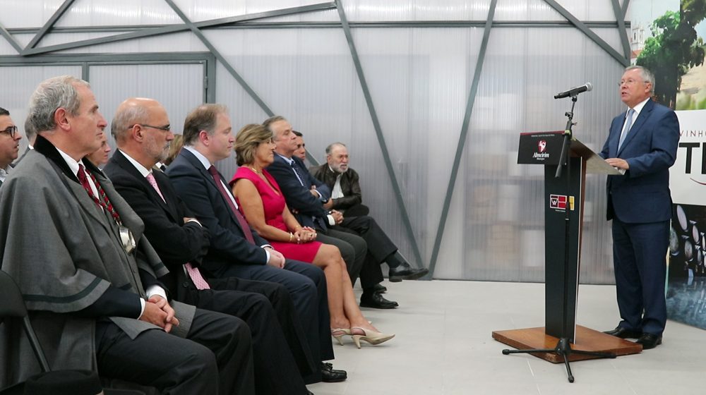 IVV: Governo quer replicar caso de Almeirim (C/VÍDEO)