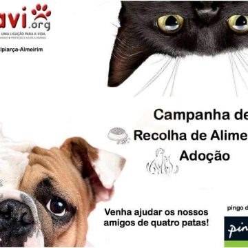 Recolha de alimentos e adoção de animais