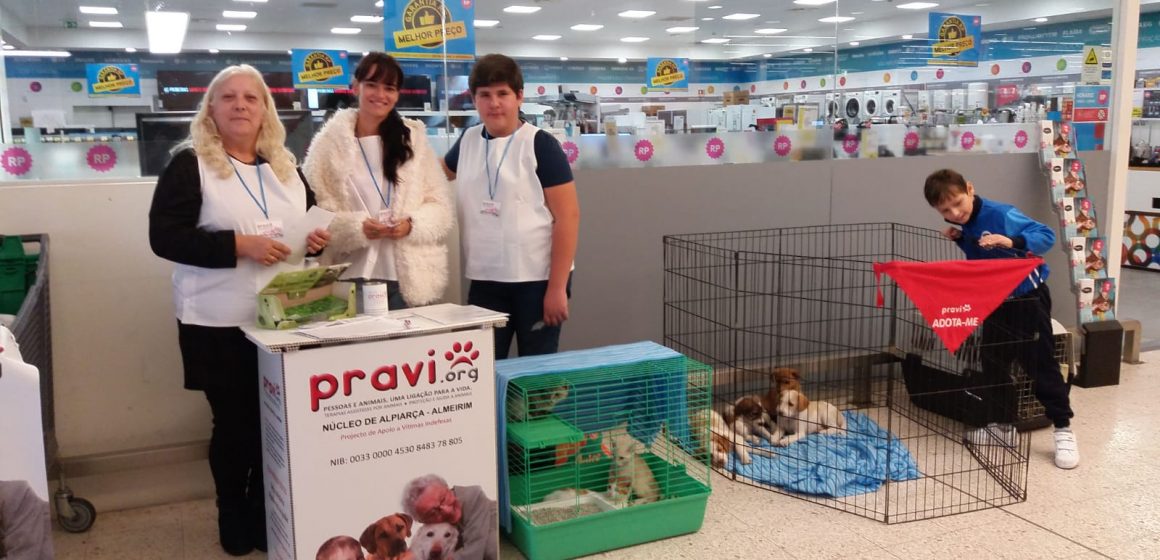 Animais para adopção e recolha de alimentos Animais para adopção e recolha de alimentos