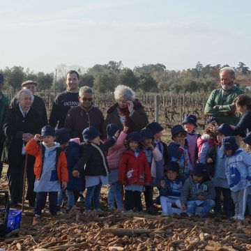 Colégio Conde de Sobral e Lar de S. José, na Quinta do Casal Branco