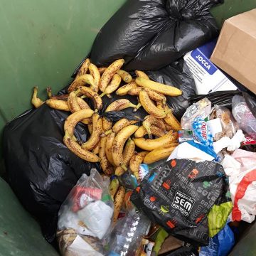 Volta a aparecer comida em caixotes do lixo Volta a aparecer comida em caixotes do lixo