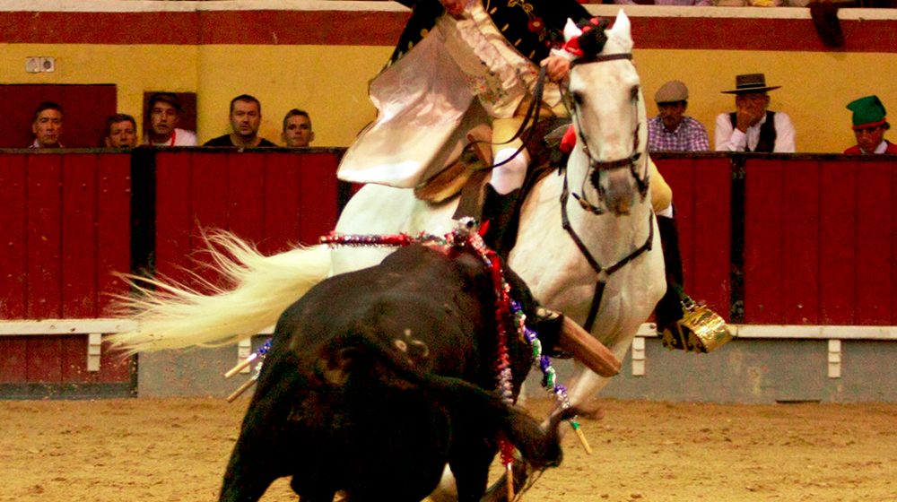 Vila Franca de Xira Viva a festa de Toiros