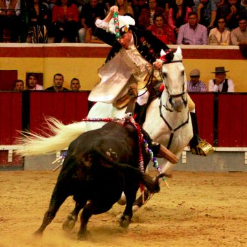 Vila Franca de Xira Viva a festa de Toiros