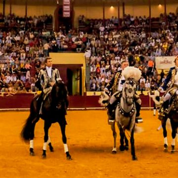 Campo Pequeno Soberba noite de toiros