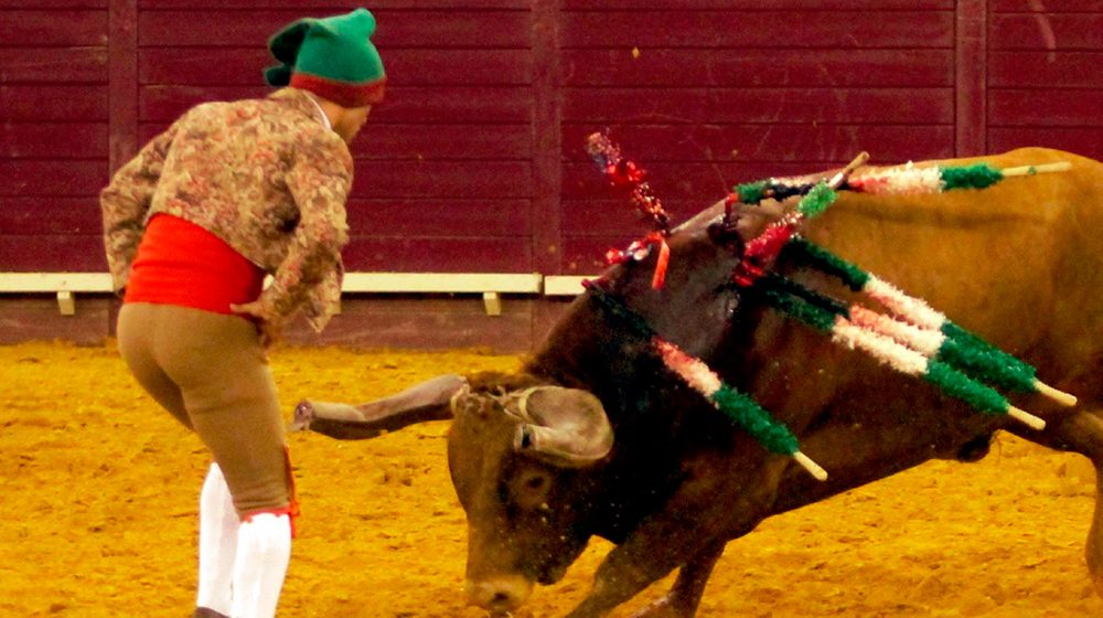 As injustiças na Festa Brava