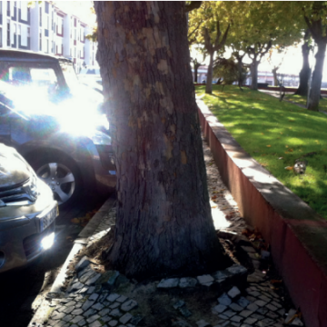 A Minha Máquina: 15 de novembro