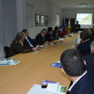 Programa Melhor Turismo 2020 oferece formação e consultoria à medida para as empresas de turismo Programa Melhor Turismo 2020 oferece formação e consultoria à medida para as empresas de turismo
