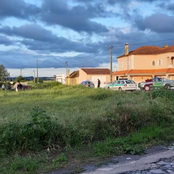 GNR apanha fugitivos GNR apanha fugitivos