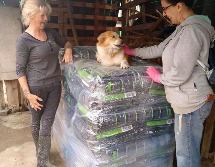 Donativo de 440 Kg de ração