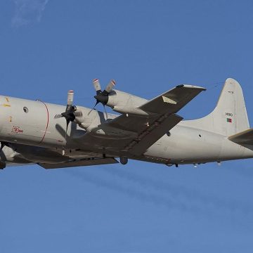 Alerta vermelho prolonga apoio de militares na prevenção de incêndios Alerta vermelho prolonga apoio de militares na prevenção de incêndios