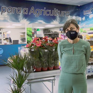 VÍDEO – Borrego Leonor e Irmão com novas instalações a funcionar na zona industrial