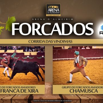Corrida das Vindimas: Forcados definidos