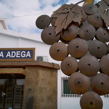 VÍDEO – Adega de Almeirim com nova loja