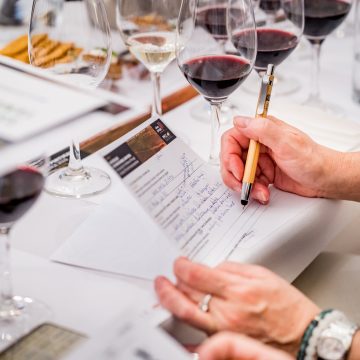 Academia online de formação em vinhos da ViniPortugal disponível em Língua Portuguesa